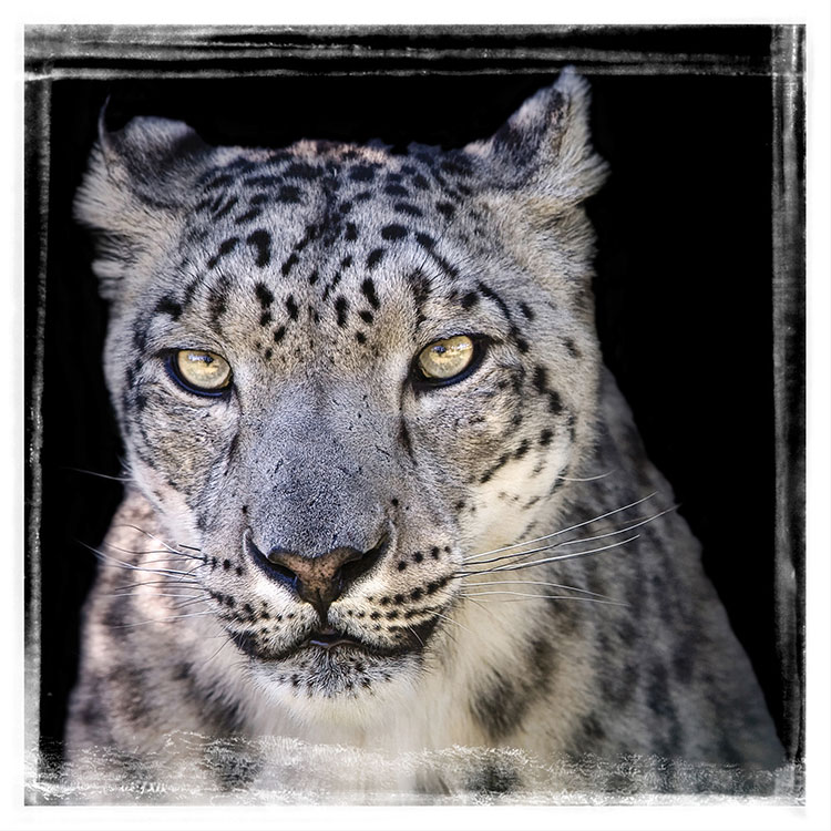Framed46.JPG