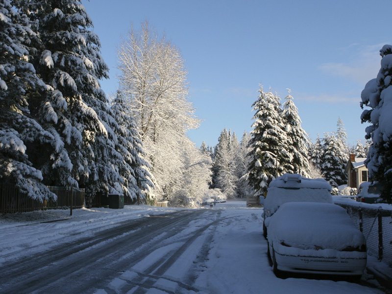 03012007 Snow Front Street 1 800.jpg