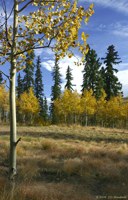 Colorado IMG_5369
