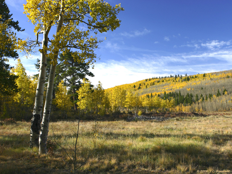 Colorado IMG_5378