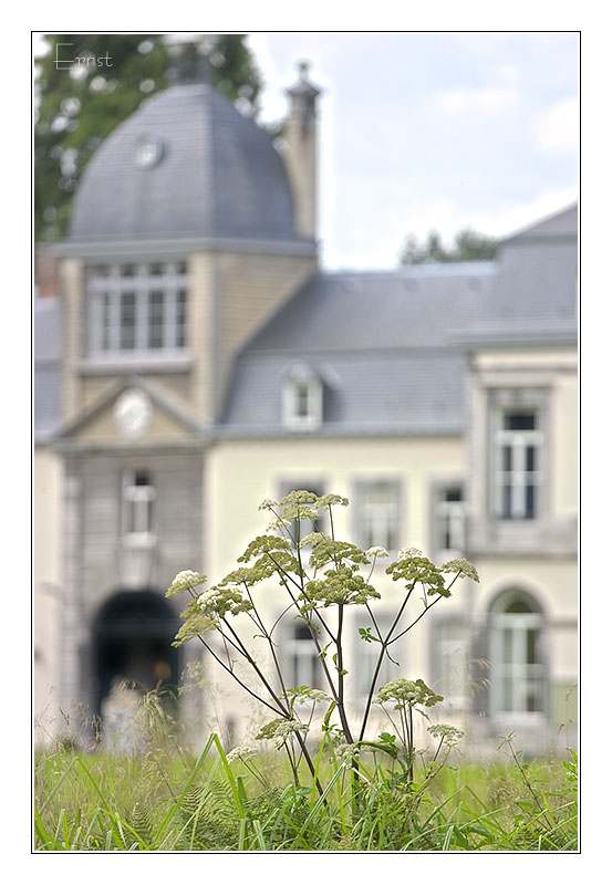 Kasteel Vaeshartelt