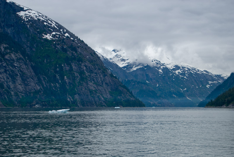 Tracy Arm Fiord