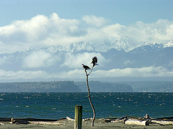 2006111620bl.jpg
