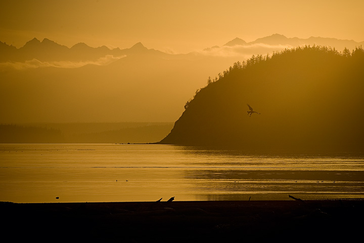 Sunset Hunt
