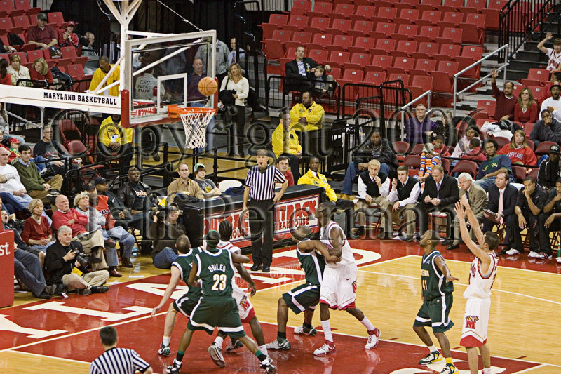 IMG_2254.jpg