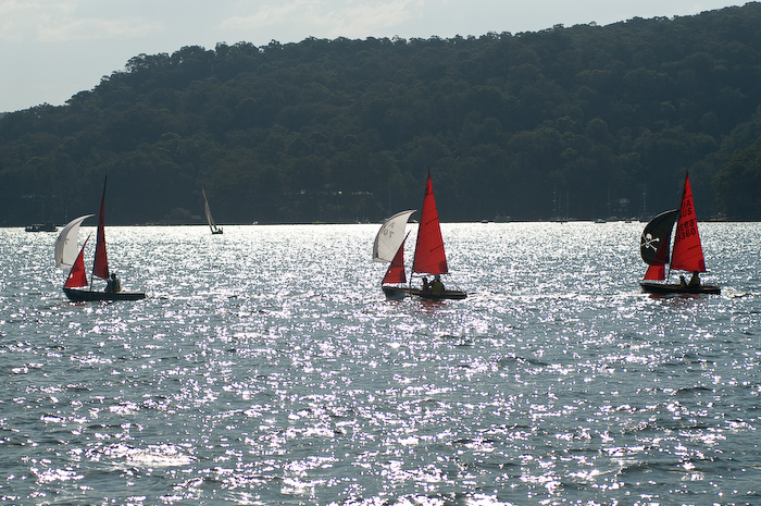 DSC_8978.jpg