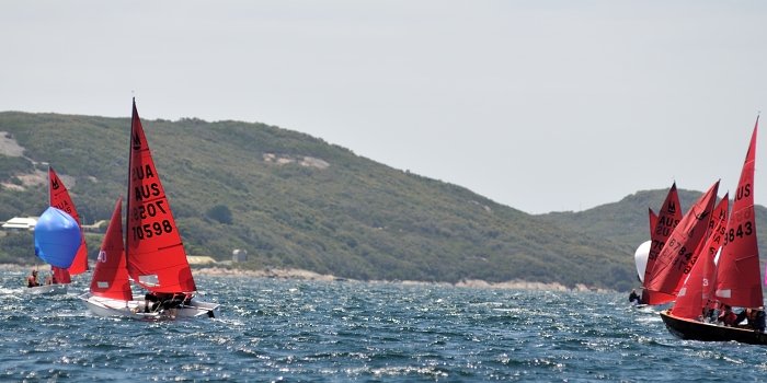 DSC_7135.JPG