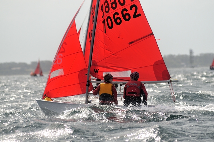 DSC_7805.JPG