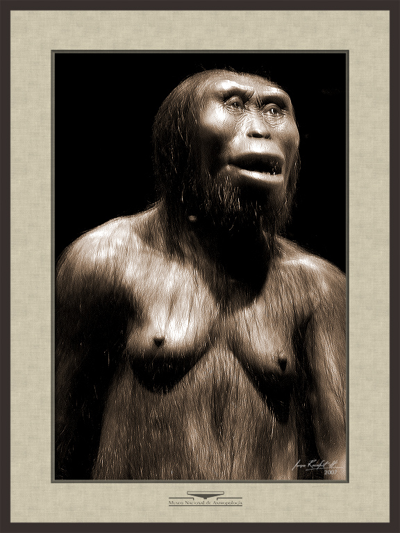 Lucy