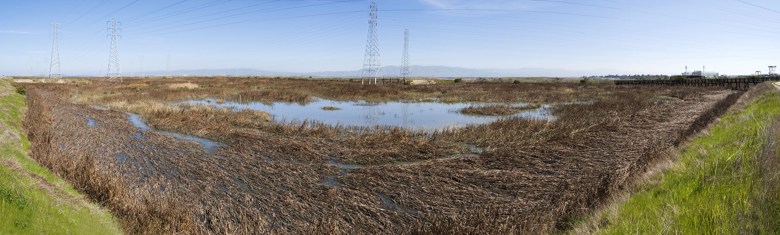Stevens Creek Slough