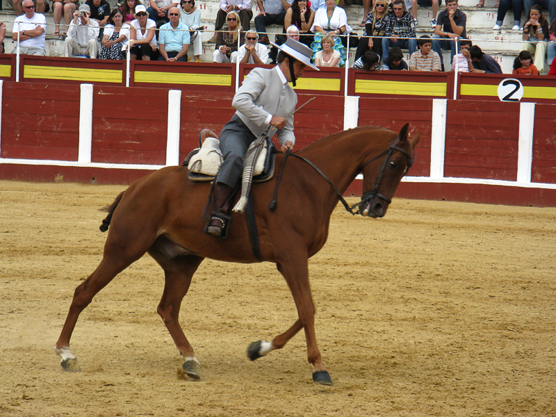 Fuengirola Feria