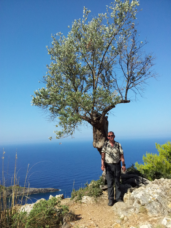 Soller