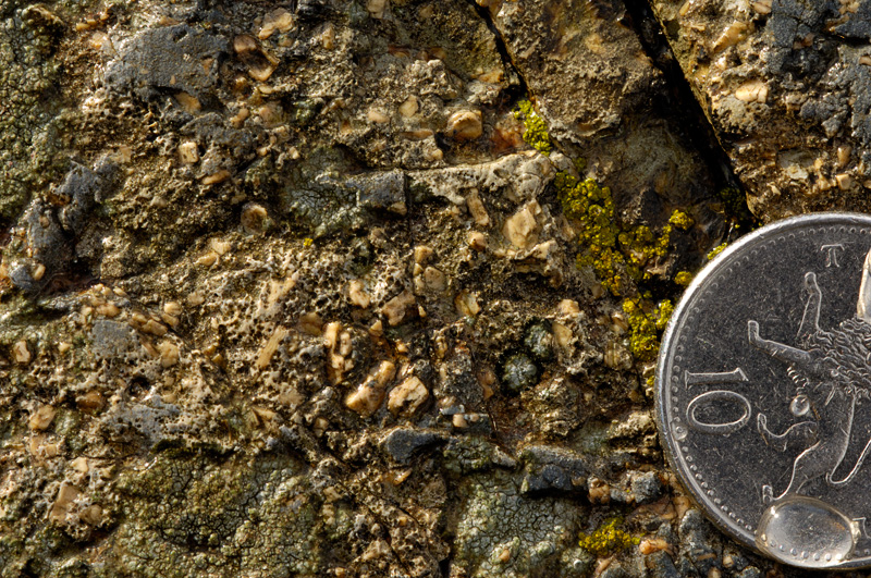 Dases intrusion Feldspar crystals