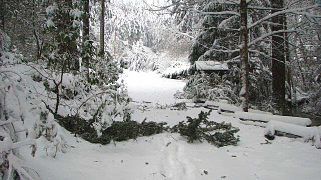 driveway enterance