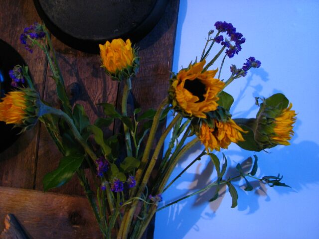 Flowers and wall.