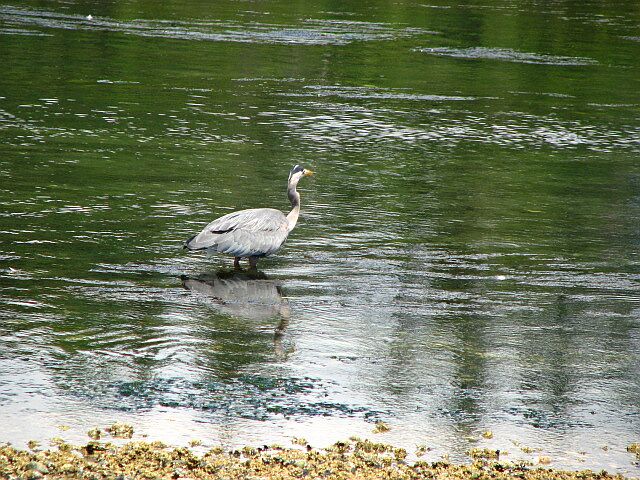 IMG_3268.jpg