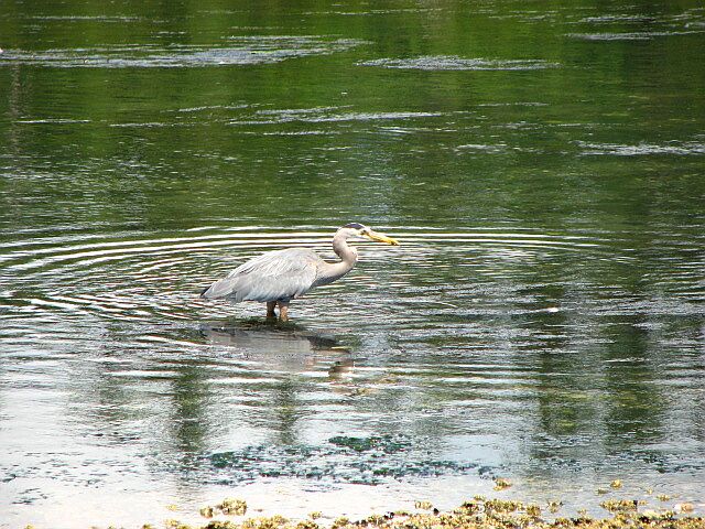 IMG_3269.jpg