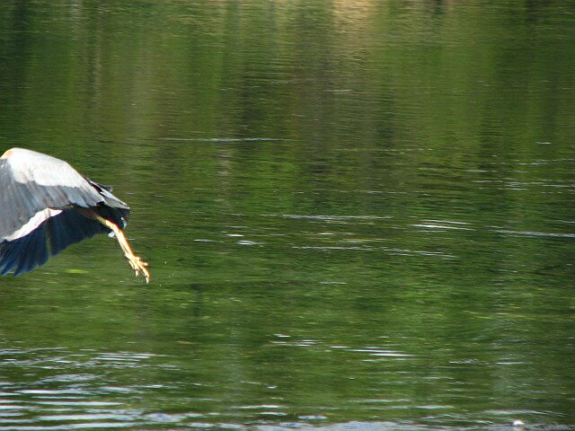 IMG_3280.jpg