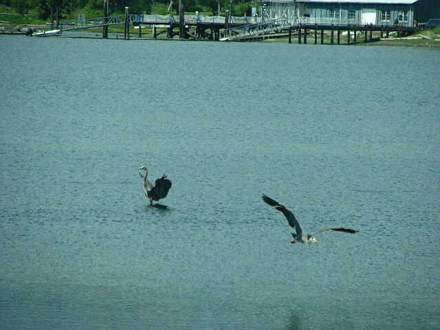 IMG_3293.jpg