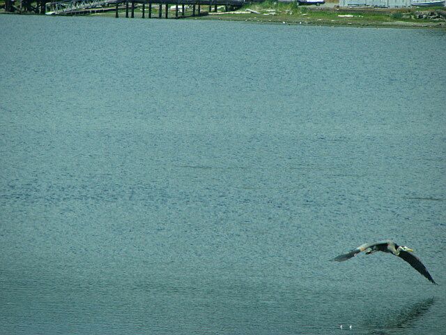 IMG_3294.jpg