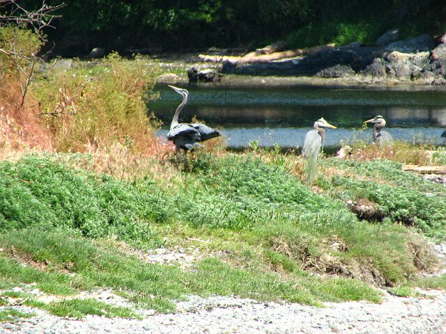 IMG_3187.jpg