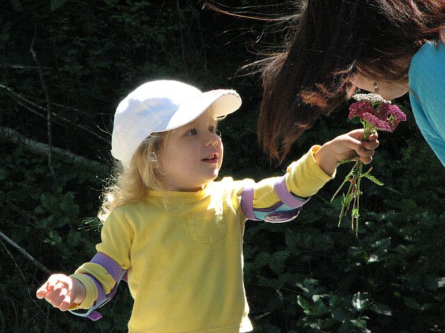 Aunty Wow smells the yarrow.
