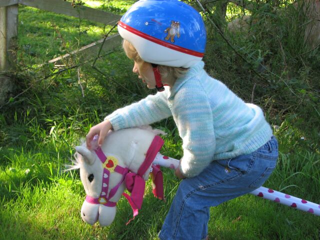 Morgan's hobby horse playes music when his ear it pinched and messages and horse noises on the other.  She loves the misic ear.