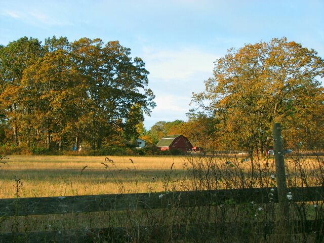 A favorite field.