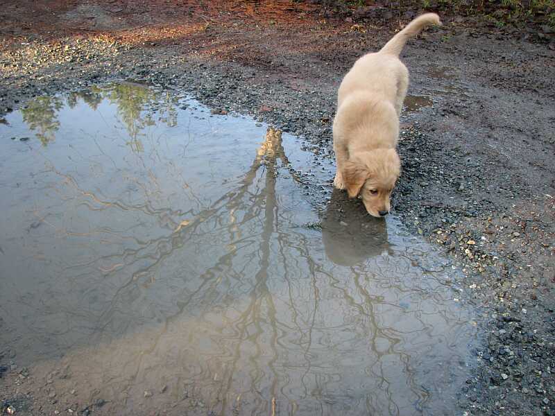 Morgan's puddle.  Not much here.