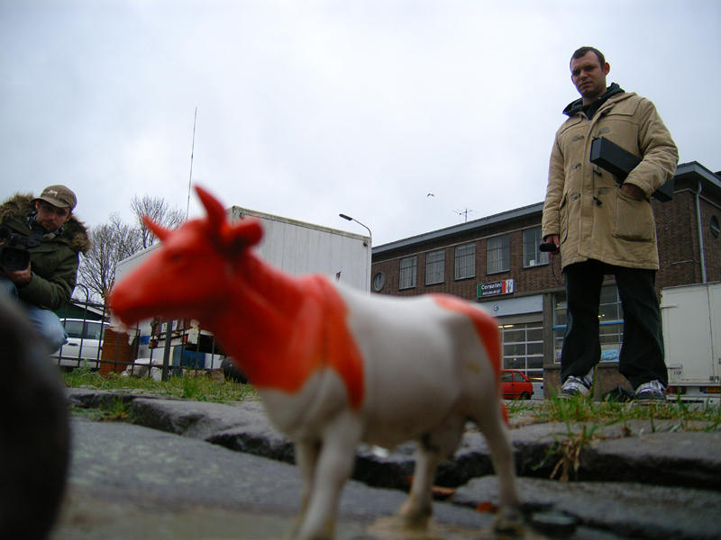 the plastic cow