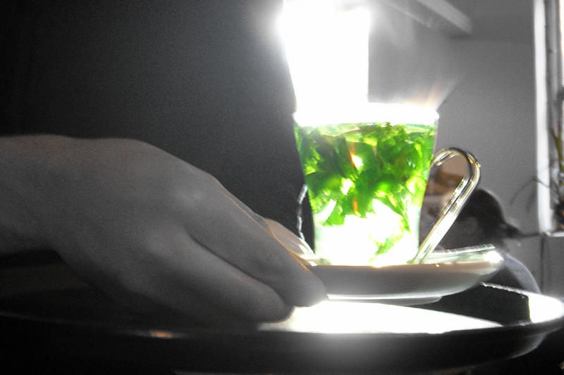 fresh mint tea, Neils yard, Seven Dials
