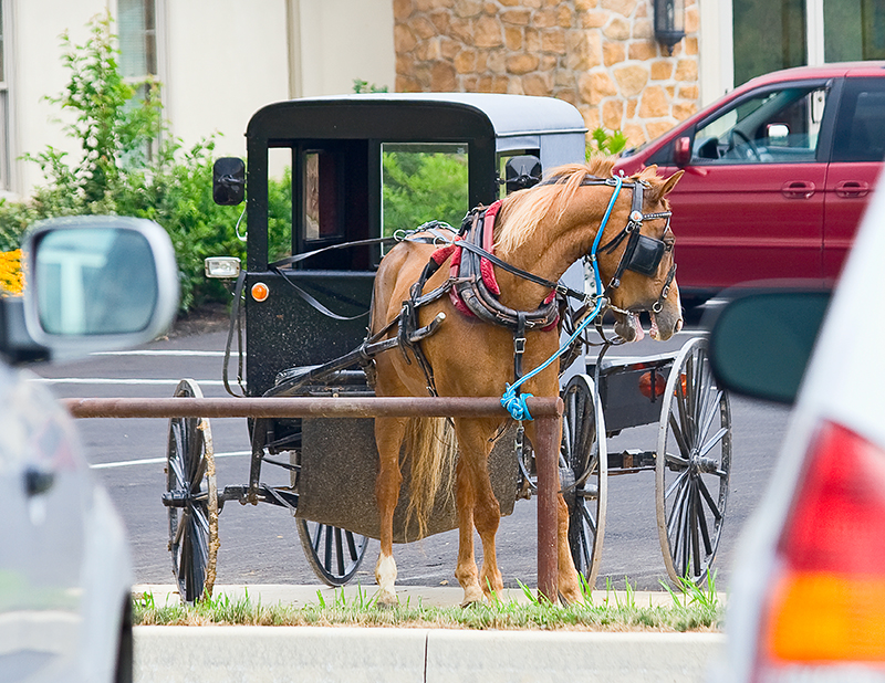 Amish Buggy in Parking Lot