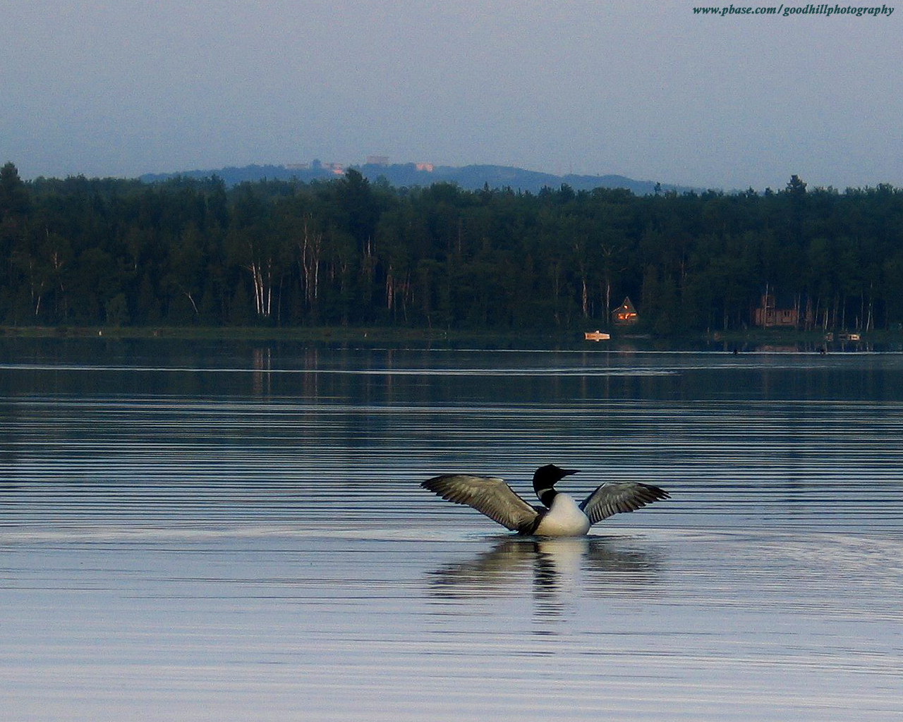 1280 x 1024 Loon Mill Pond