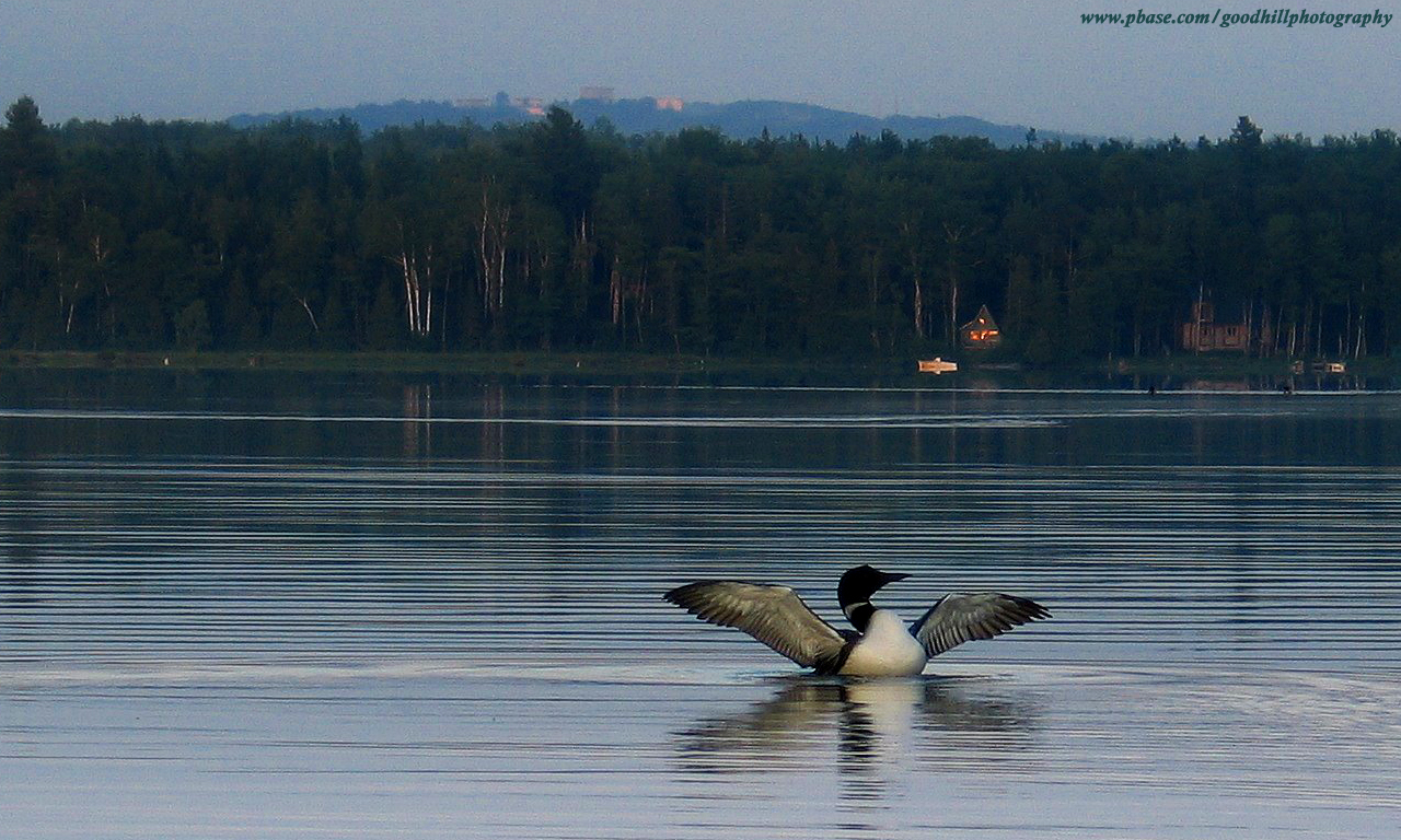 1280 x 768 Loon Mill Pond