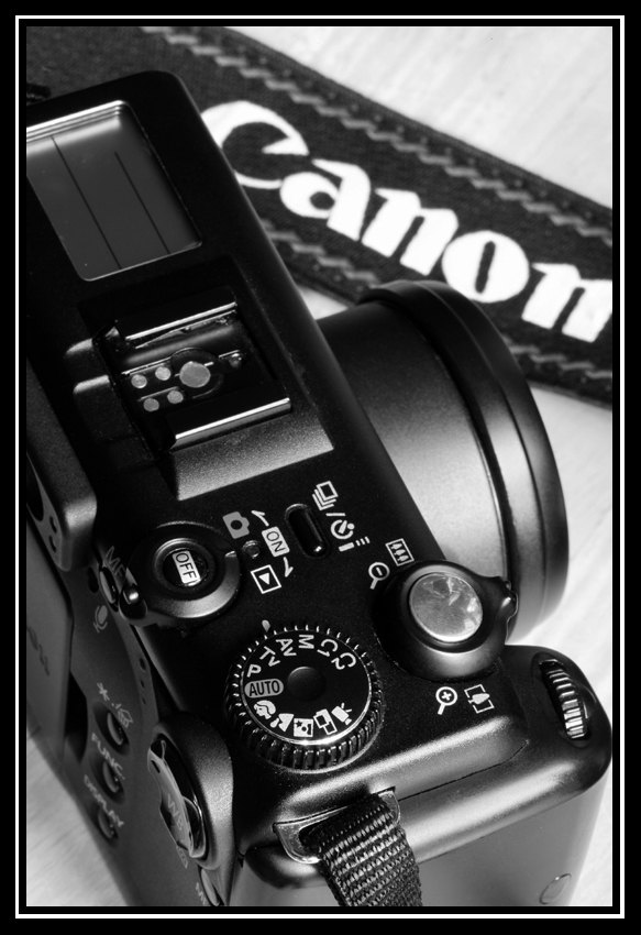 My Work Horse Camera