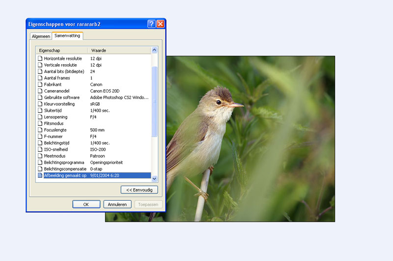 rarafoto.jpg