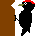 kumagera.gif