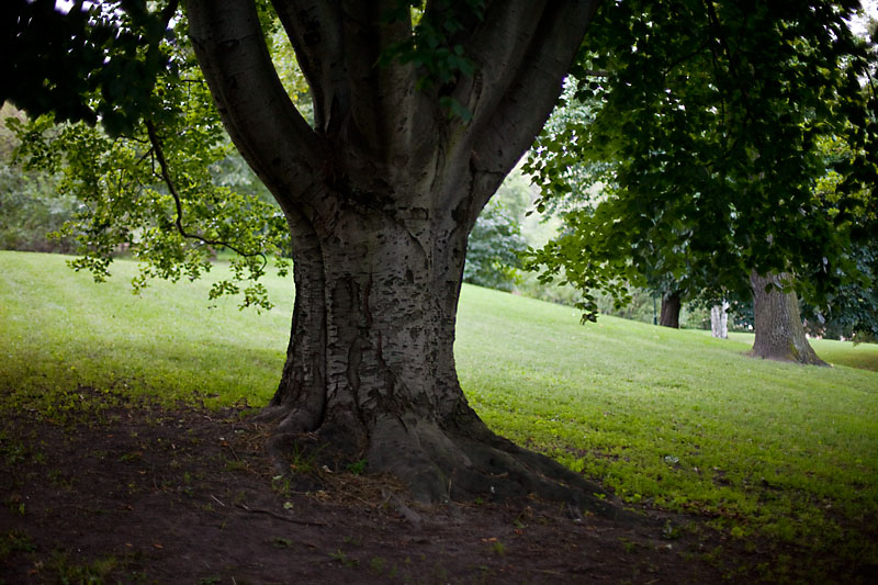 Unter den Linden