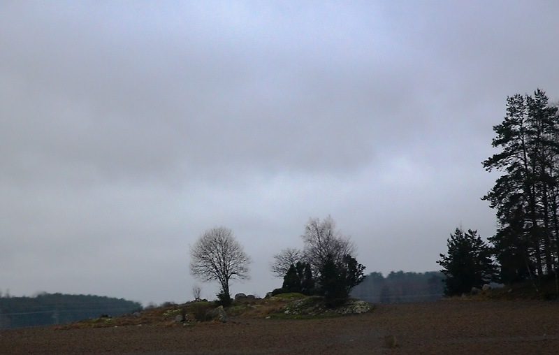 January 9: A very gray day
