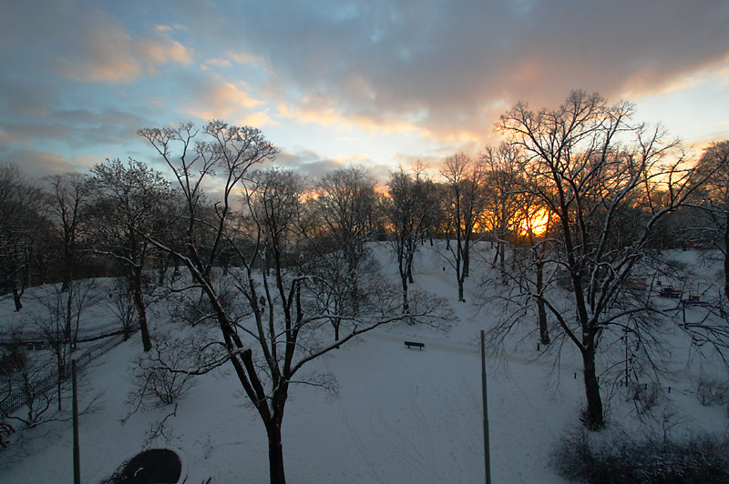 January 24: Sunrise over Kronobergsparken