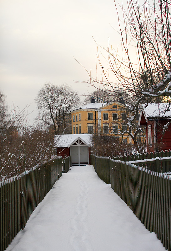 February 20: The winter garden