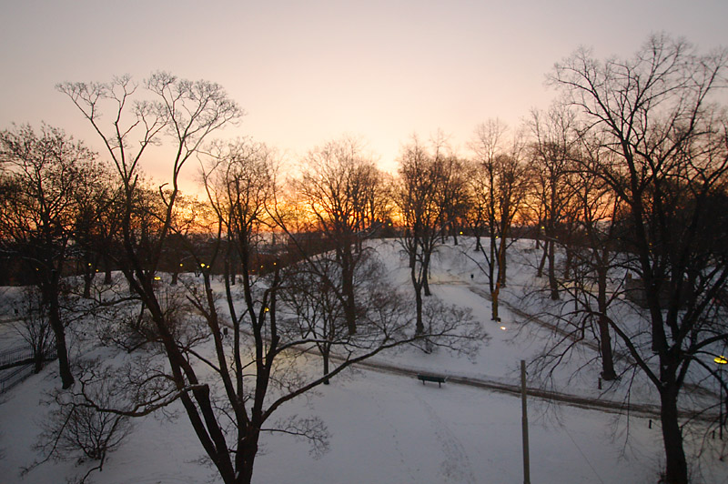 February 21: Sunrise over the park