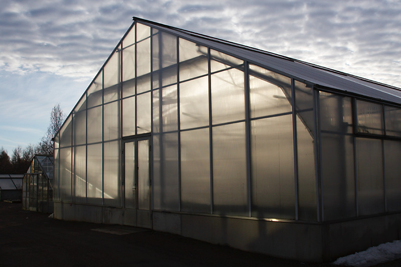 March 11: The Greenhouse