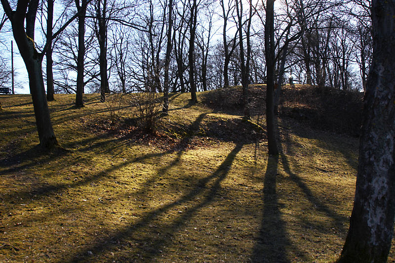 Shadows