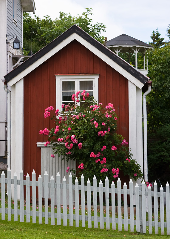 Red houses with roses