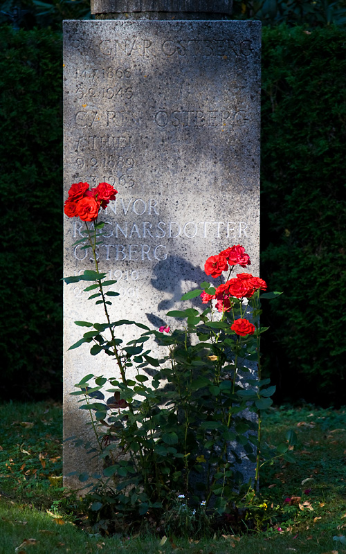 Roses by the grave