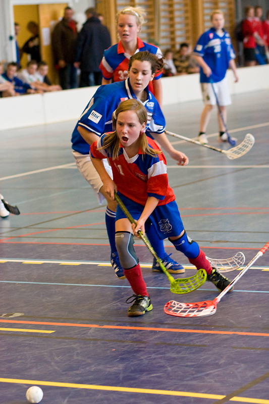 Floor hockey