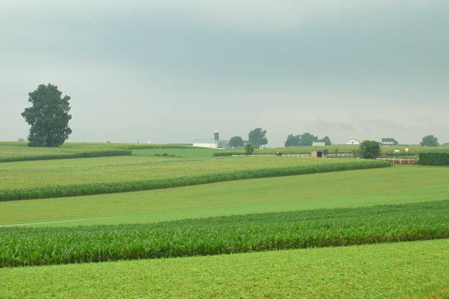 Amish farmland, Lancaster County, PA