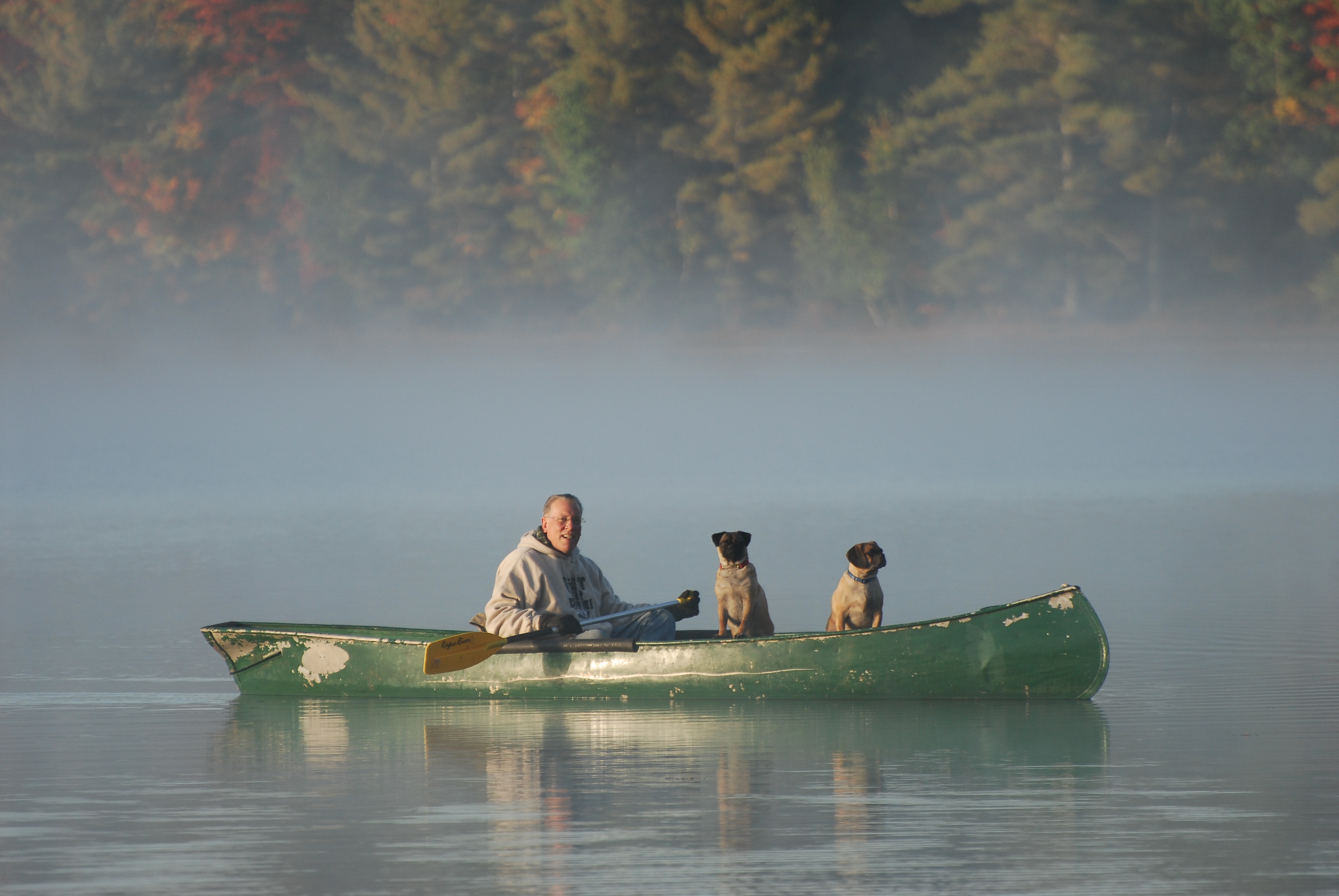 canoeing canines