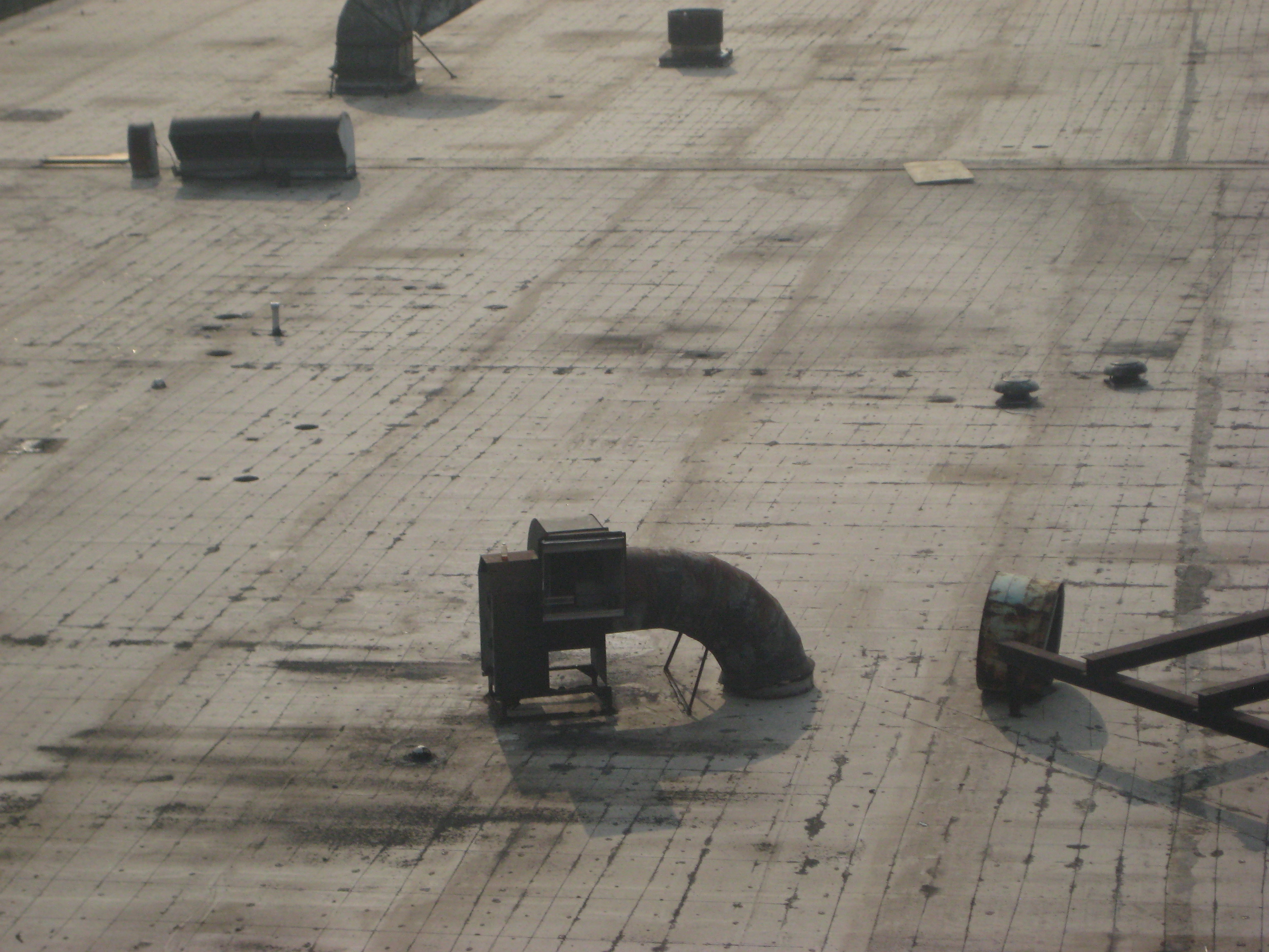 IMG_455roof.JPG
